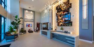 San Palmas Gallery 15