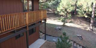 Wooded View Estate in Jacksonville Gallery 24