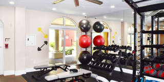 Colony at Dadeland Gallery 10