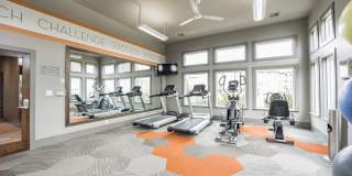 Palisades at Pleasant Crossing Gallery 18