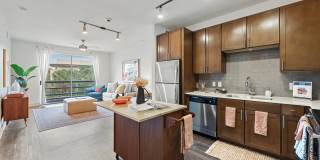 The Standard at Domain Northside Apartments Gallery 3