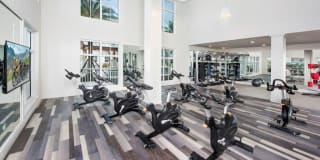 Town Westshore Gallery 12