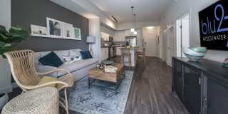 Blu27 at Edgewater Gallery 17