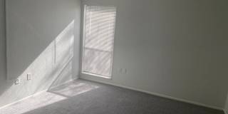 The Commons Gallery 8
