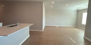 2924 Firefly Drive Gallery 6