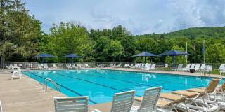 250 Brentwood Drive Gallery 53