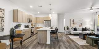 The Aster at Mountain Vista - BRAND NEW Gallery 5