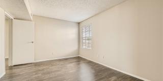 Rise Spring Pointe Gallery 157