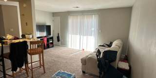 UT - 1205-D (New) Gallery 4