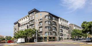 Caprielle Apartments Gallery 13