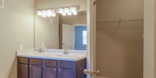 Century Palm Bluff Gallery 28