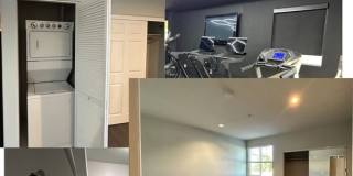 Sherman Oaks Place Gallery 12