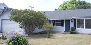 Arcata 3/2 great location with fenced yard! Gallery 1