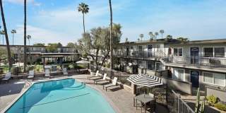 Tierra Palms Gallery 58
