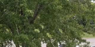 4004 Duck Road - C Gallery 17