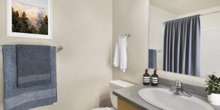 Novi at Queen Anne Gallery 18