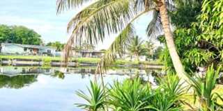 6410 KIMBERLY Boulevard, North Lauderdale, FL 33068 6410 KIMBERLY Boulevard, North Lauderdale, FL 33068 Gallery 11