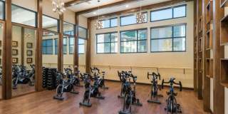 Solana Lucent Station Gallery 18