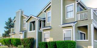 Bristle Pointe Gallery 1