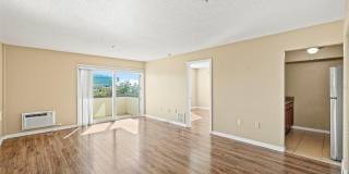 406 S CEDAR AVENUE Gallery 25