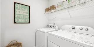 Poplar Row Gallery 50