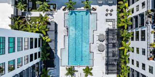 Aster & Links Gallery 4