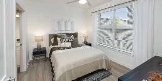 The Statesman Gallery 5