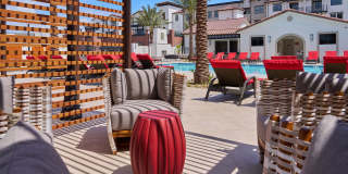 Vineyards Gallery 43