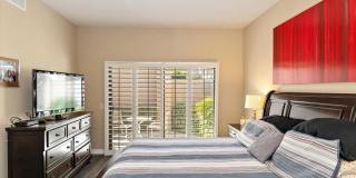 54838 Oak Tree Gallery 22