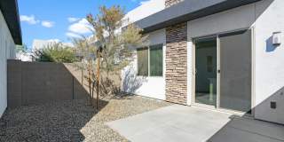 Olive Queen Creek Gallery 17