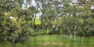 2035 River Turia Circle Gallery 10