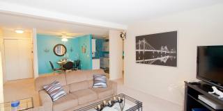 Towne Square Gallery 26