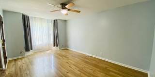 LARGE FENCED IN YARD!!! Gallery 5