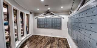 Juniper Springs Gallery 34