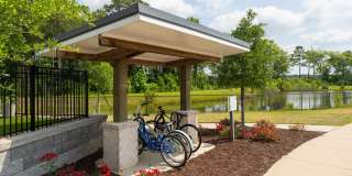 Hawthorne at Pine Forest Gallery 37