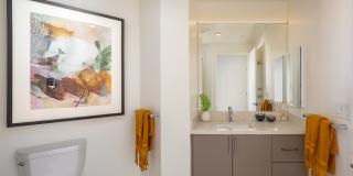 The Merian Gallery 97