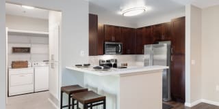 Villa Torino Gallery 34