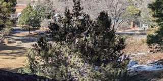 5701 N Villa Cir Gallery 17