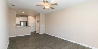 Patriots Place Gallery 67