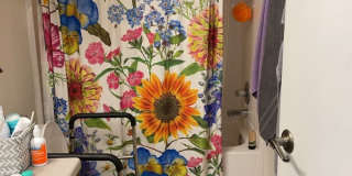 1835 Elk Springs St Gallery 12