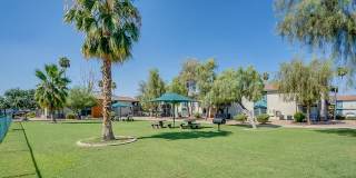 Aventerra at Dobson Ranch Gallery 29