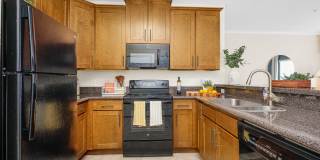 TGM University Park Gallery 2