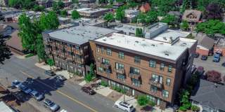 Hamilton and Eliza Gallery 2