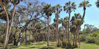 2746 ORCHID OAKS DRIVE Gallery 59