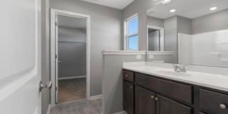 8165 Driftwood Loop Gallery 5