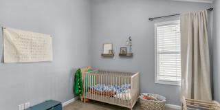 Spacious 4 Bedroom Home in Auburn Gallery 43