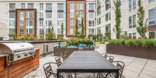 Ellis at Bel-Red Gallery 15