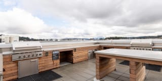 Modera River Trail Gallery 32
