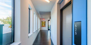 Central Gallery 12