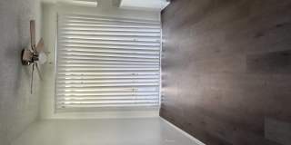 Palmwood Gardens Gallery 19